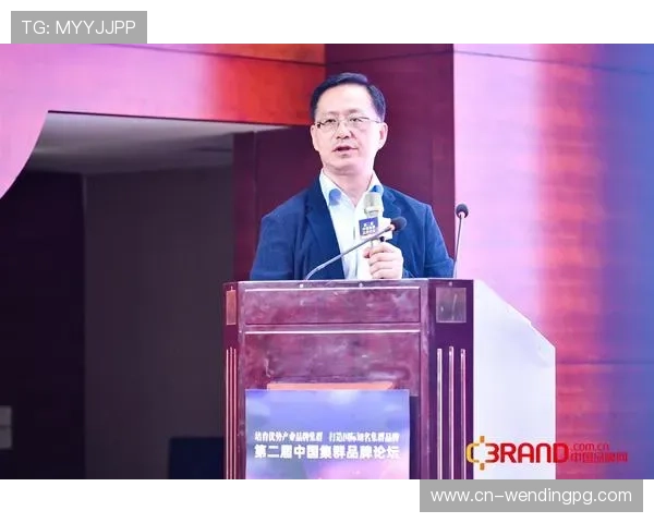 问鼎官方旗舰店多渠道全网推广，品牌影响力持续提升和扩大