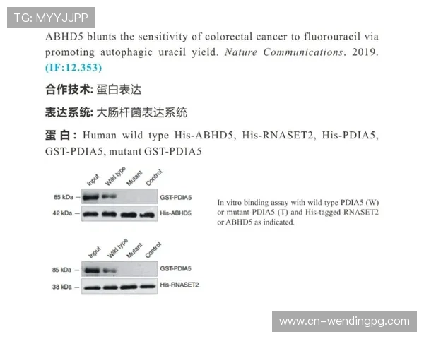 问鼎28pc入口注册失败原因分析及解决办法全方位指导