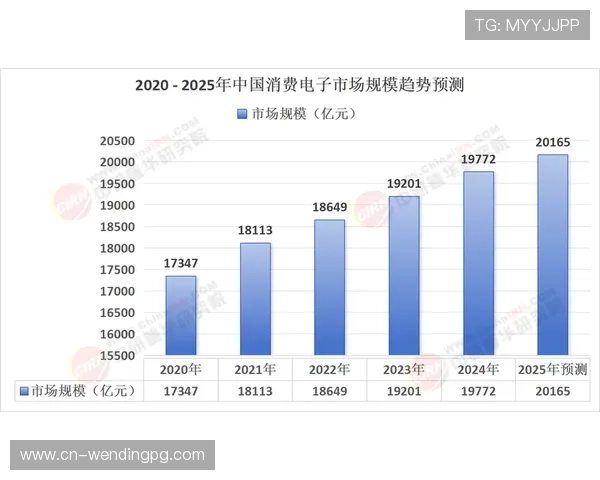 问鼎中国电子市场的成功案例分析与实用运营策略分享