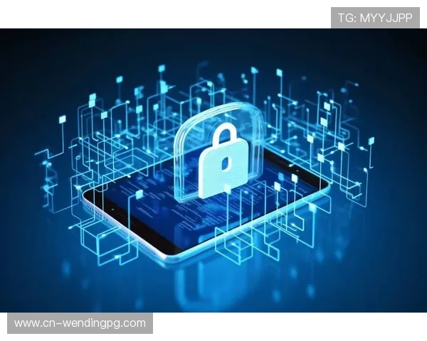 问鼎网址官方网站安全保障措施全面解析保障用户信息安全的具体措施