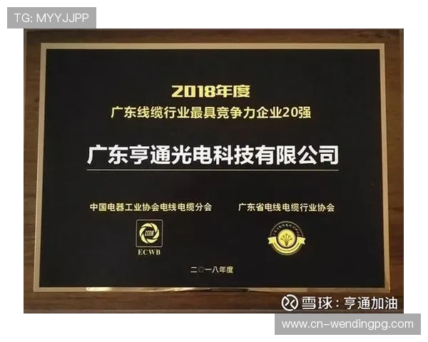 问鼎网站：如何利用数据分析提升网站运营效率实现问鼎行业的目标