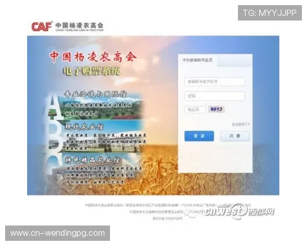问鼎娱乐集团网址官方平台介绍及用户注册登录全攻略